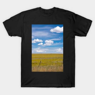 New Mexico landscape. T-Shirt